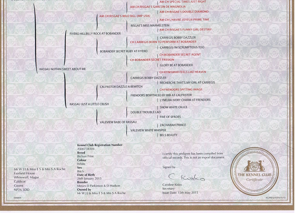 Fergie Pedigree